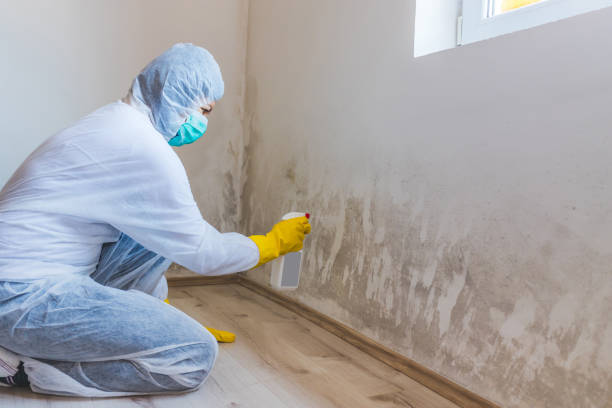Mold Remediation specialist working in Woodville